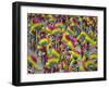 Rio Carnival, Rio De Janeiro, Brazil-Demetrio Carrasco-Framed Photographic Print