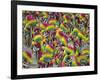 Rio Carnival, Rio De Janeiro, Brazil-Demetrio Carrasco-Framed Photographic Print