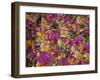 Rio Carnival, Rio De Janeiro, Brazil-Demetrio Carrasco-Framed Photographic Print