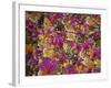 Rio Carnival, Rio De Janeiro, Brazil-Demetrio Carrasco-Framed Photographic Print