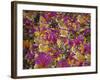 Rio Carnival, Rio De Janeiro, Brazil-Demetrio Carrasco-Framed Photographic Print