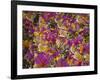 Rio Carnival, Rio De Janeiro, Brazil-Demetrio Carrasco-Framed Photographic Print