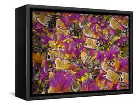 Rio Carnival, Rio De Janeiro, Brazil-Demetrio Carrasco-Framed Stretched Canvas