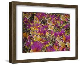 Rio Carnival, Rio De Janeiro, Brazil-Demetrio Carrasco-Framed Photographic Print