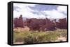 Rio Concha, Valle De Lerna, District of Salta, Argentina-Peter Groenendijk-Framed Stretched Canvas