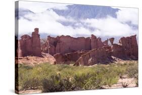 Rio Concha, Valle De Lerna, District of Salta, Argentina-Peter Groenendijk-Stretched Canvas