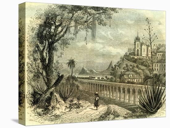 Rio De Janeiro Brazil 19th Century-null-Stretched Canvas