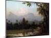 Rio De Janeiro, Brazil, C.1865 (Oil on Board)-Martin Johnson Heade-Mounted Premium Giclee Print