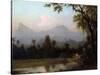 Rio De Janeiro, Brazil, C.1865 (Oil on Board)-Martin Johnson Heade-Stretched Canvas