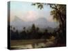 Rio De Janeiro, Brazil, C.1865 (Oil on Board)-Martin Johnson Heade-Stretched Canvas