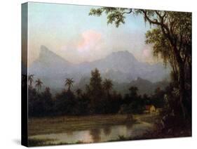 Rio De Janeiro, Brazil, C.1865 (Oil on Board)-Martin Johnson Heade-Stretched Canvas