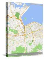 Rio de Janeiro, Brazil Map-null-Stretched Canvas