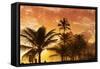 Rio De Janeiro, Brazil, South America-Angelo-Framed Stretched Canvas