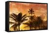 Rio De Janeiro, Brazil, South America-Angelo-Framed Stretched Canvas