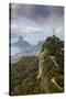 Rio De Janeiro Landscape Showing Corcovado, the Christ and the Sugar Loaf, Rio De Janeiro, Brazil-Alex Robinson-Stretched Canvas