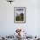 Rio De Janeiro Landscape Showing Corcovado, the Christ and the Sugar Loaf, Rio De Janeiro, Brazil-Alex Robinson-Framed Photographic Print displayed on a wall