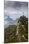 Rio De Janeiro Landscape Showing Corcovado, the Christ and the Sugar Loaf, Rio De Janeiro, Brazil-Alex Robinson-Mounted Photographic Print