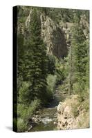 Rio Del Pueblo in the Sangre De Cristo Mountains, New Mexico-null-Stretched Canvas