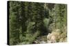 Rio Del Pueblo in the Sangre De Cristo Mountains, New Mexico-null-Stretched Canvas