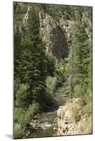 Rio Del Pueblo in the Sangre De Cristo Mountains, New Mexico-null-Mounted Photographic Print