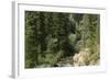 Rio Del Pueblo in the Sangre De Cristo Mountains, New Mexico-null-Framed Photographic Print