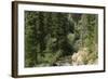 Rio Del Pueblo in the Sangre De Cristo Mountains, New Mexico-null-Framed Photographic Print