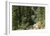 Rio Del Pueblo in the Sangre De Cristo Mountains, New Mexico-null-Framed Photographic Print