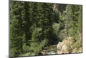 Rio Del Pueblo in the Sangre De Cristo Mountains, New Mexico-null-Mounted Photographic Print