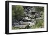 Rio Del Pueblo Tumbling Over Basalt Boulders near the Rio Grande, New Mexico-null-Framed Photographic Print