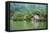 Rio Dulce Riverside View, Rio Dulce National Park, Guatemala-Cindy Miller Hopkins-Framed Stretched Canvas