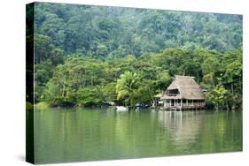 Rio Dulce Riverside View, Rio Dulce National Park, Guatemala-Cindy Miller Hopkins-Stretched Canvas