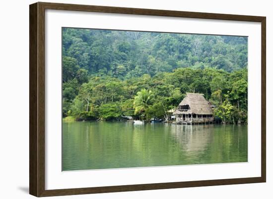 Rio Dulce Riverside View, Rio Dulce National Park, Guatemala-Cindy Miller Hopkins-Framed Photographic Print