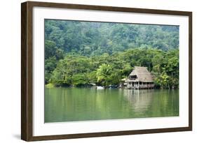 Rio Dulce Riverside View, Rio Dulce National Park, Guatemala-Cindy Miller Hopkins-Framed Photographic Print