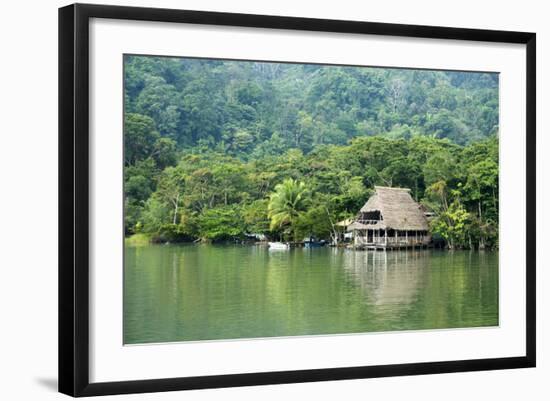 Rio Dulce Riverside View, Rio Dulce National Park, Guatemala-Cindy Miller Hopkins-Framed Photographic Print