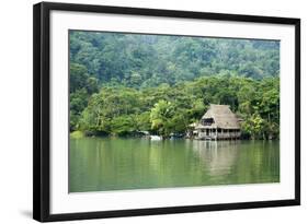 Rio Dulce Riverside View, Rio Dulce National Park, Guatemala-Cindy Miller Hopkins-Framed Photographic Print