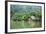 Rio Dulce Riverside View, Rio Dulce National Park, Guatemala-Cindy Miller Hopkins-Framed Photographic Print