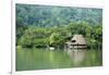 Rio Dulce Riverside View, Rio Dulce National Park, Guatemala-Cindy Miller Hopkins-Framed Photographic Print