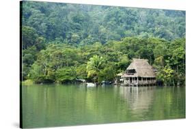 Rio Dulce Riverside View, Rio Dulce National Park, Guatemala-Cindy Miller Hopkins-Stretched Canvas