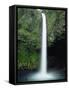 Rio Fortuna Waterfalls on the Slopes of Volcan Arenal, Costa Rica, Central America-Robert Francis-Framed Stretched Canvas