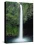 Rio Fortuna Waterfalls on the Slopes of Volcan Arenal, Costa Rica, Central America-Robert Francis-Stretched Canvas