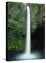 Rio Fortuna Waterfalls on the Slopes of Volcan Arenal, Costa Rica, Central America-Robert Francis-Stretched Canvas