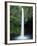 Rio Fortuna Waterfalls on the Slopes of Volcan Arenal, Costa Rica, Central America-Robert Francis-Framed Photographic Print