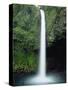 Rio Fortuna Waterfalls on the Slopes of Volcan Arenal, Costa Rica, Central America-Robert Francis-Stretched Canvas