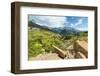 Rio Gallego and the Tena Valley beyond, below Formigal ski resort, Formigal, Sallent de Gallego, Hu-Robert Francis-Framed Photographic Print