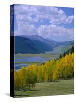 Rio Grande National Forest, Colorado, USA-Jean Brooks-Stretched Canvas