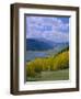 Rio Grande National Forest, Colorado, USA-Jean Brooks-Framed Photographic Print