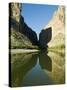 Rio Grande River, Santa Elena Canyon, Big Bend National Park, Texas, USA-Ethel Davies-Stretched Canvas