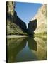 Rio Grande River, Santa Elena Canyon, Big Bend National Park, Texas, USA-Ethel Davies-Stretched Canvas