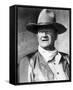 Rio Lobo-null-Framed Stretched Canvas