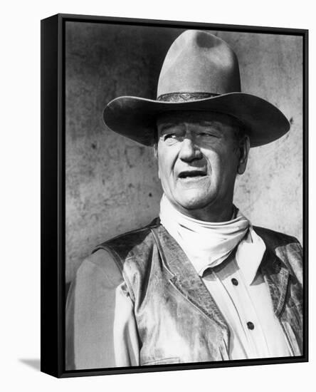 Rio Lobo-null-Framed Stretched Canvas